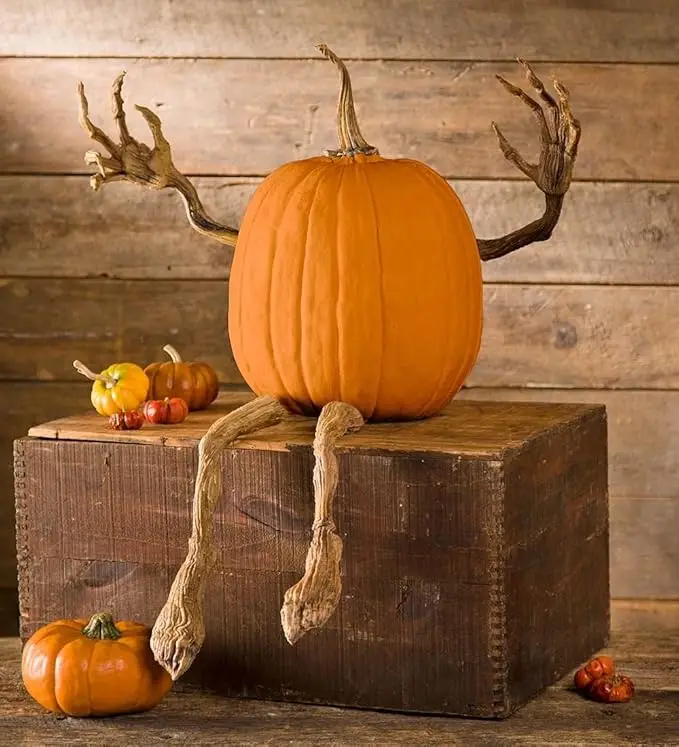 Plow & Hearth Set of 4 Bendable Pumpkin Arms and Legs | Twisting Vines for Halloween Pumpkin Carving DIY Crafts for Kids | Includes 2 arms and 2 Legs | Outdoor & Indoor Halloween Decorations